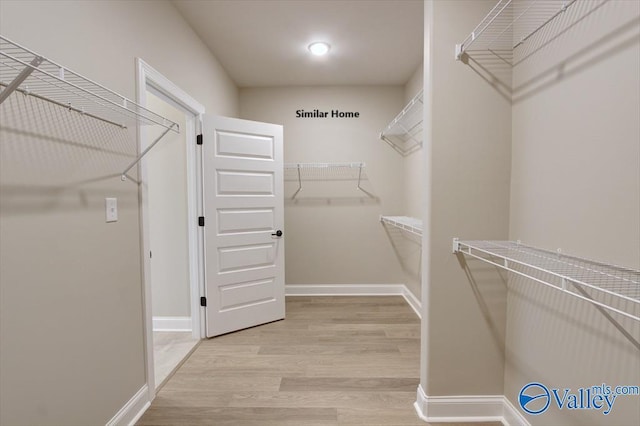 walk in closet featuring light hardwood / wood-style flooring