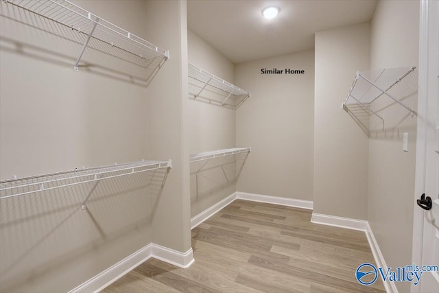 spacious closet with hardwood / wood-style floors
