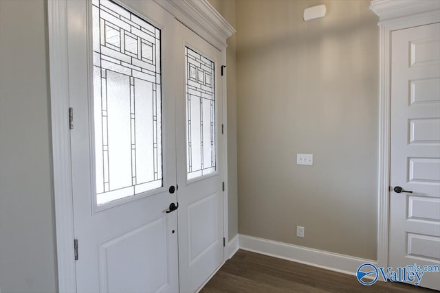 foyer entrance featuring dark wood-type flooring