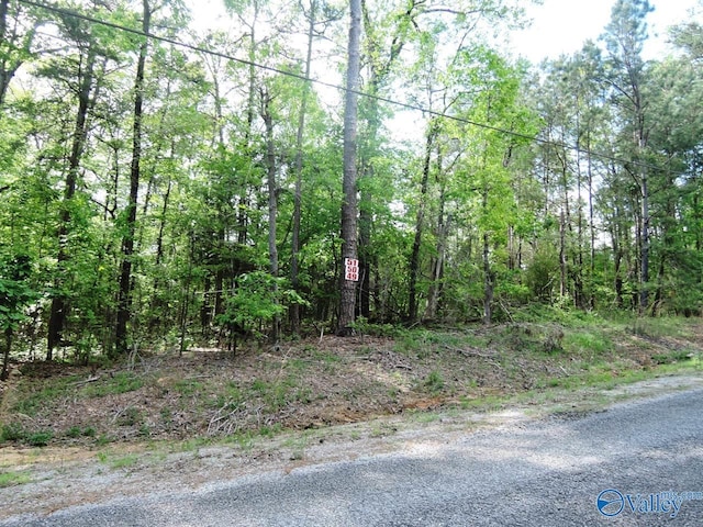 Listing photo 2 for LOT49 Harbor Loop, Jasper AL 35504