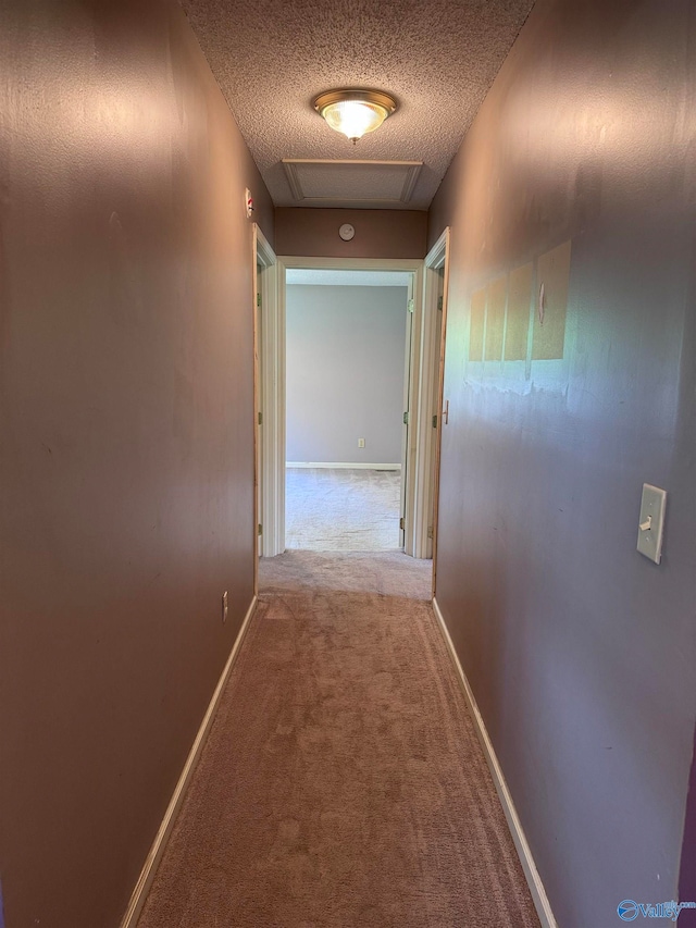 hallway with carpet and a textured ceiling