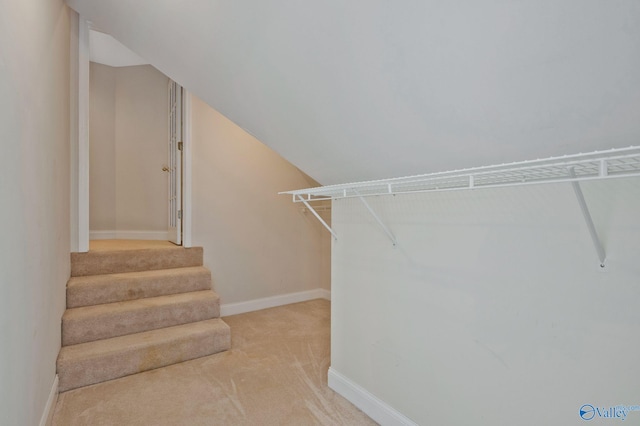 spacious closet featuring light colored carpet and vaulted ceiling