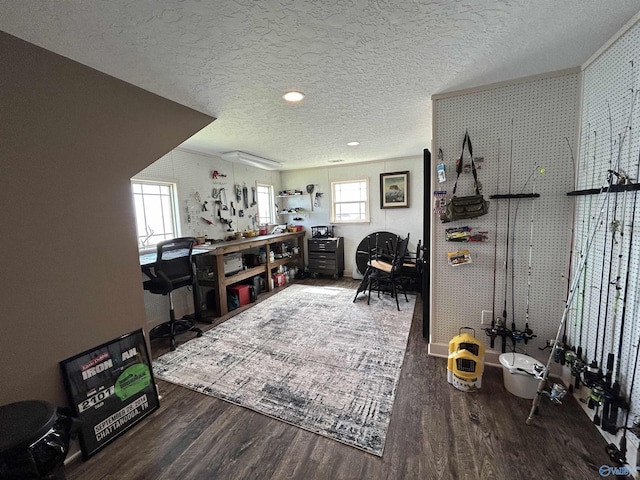 home office featuring a wealth of natural light, a textured ceiling, wood finished floors, and a workshop area