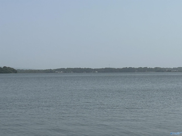 view of water feature