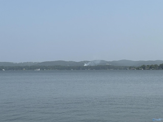 water view featuring a mountain view