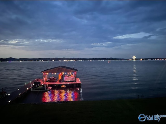 dock area with a water view