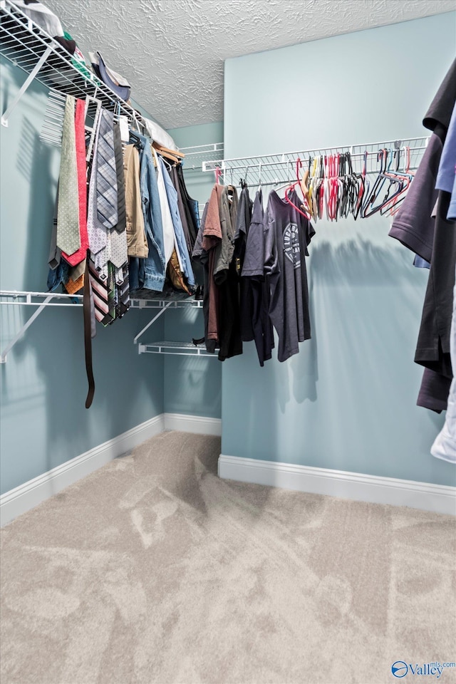 16968 Bellewood Dr, Athens, AL 35613 - spacious closet with carpet floors