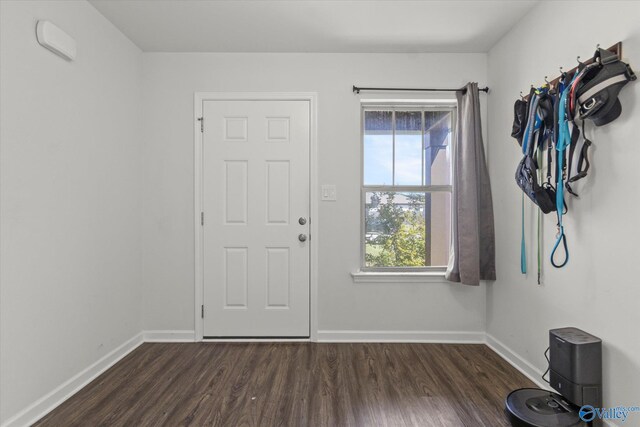 entryway with dark hardwood / wood-style flooring