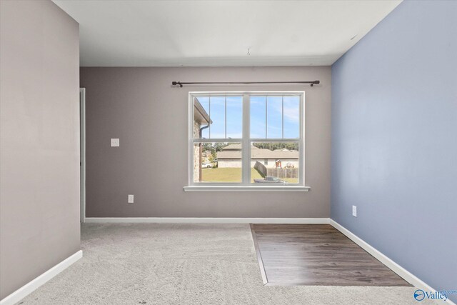 empty room featuring carpet