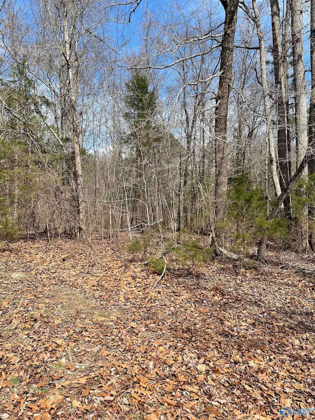 LOT14 Spindletop Dr, Guntersville, AL 35976
