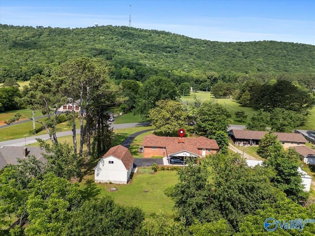 259 Old Big Cove Rd, Brownsboro, AL 35741 - aerial view of a forest