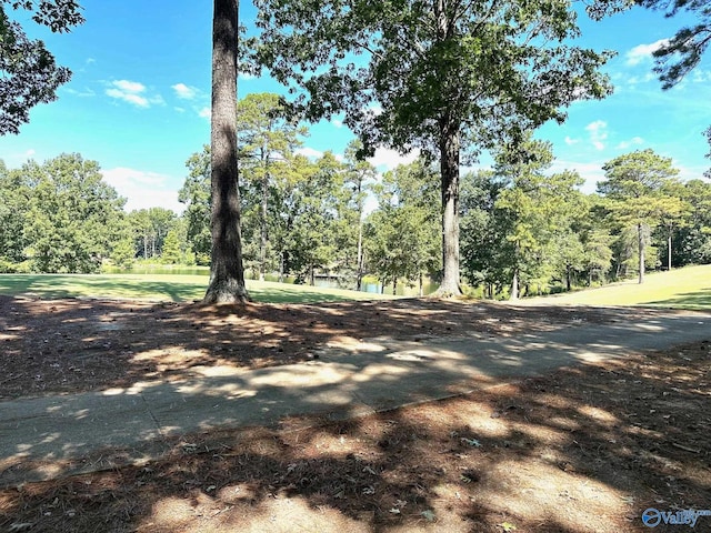 Listing photo 2 for LOT525/526 Falling Leaf Ln, Union Grove AL 35175