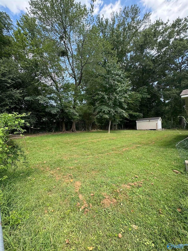 view of yard featuring a storage unit