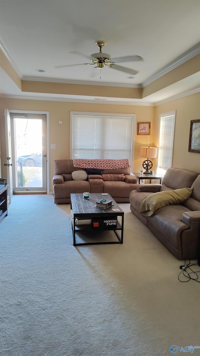 living room with a tray ceiling, carpet, and crown molding