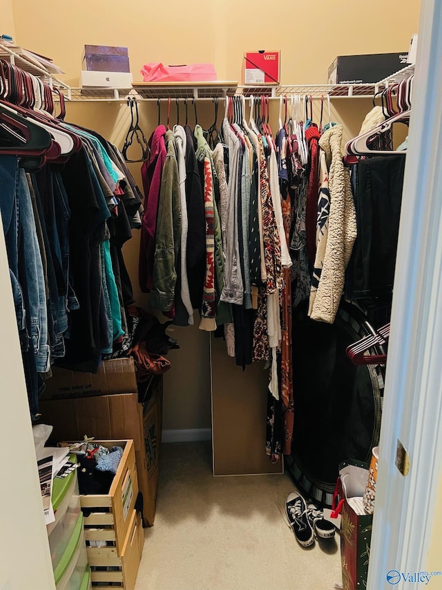 spacious closet with carpet flooring