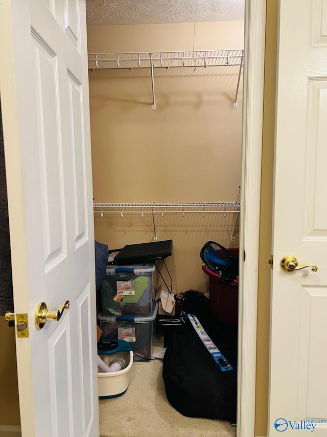 view of closet