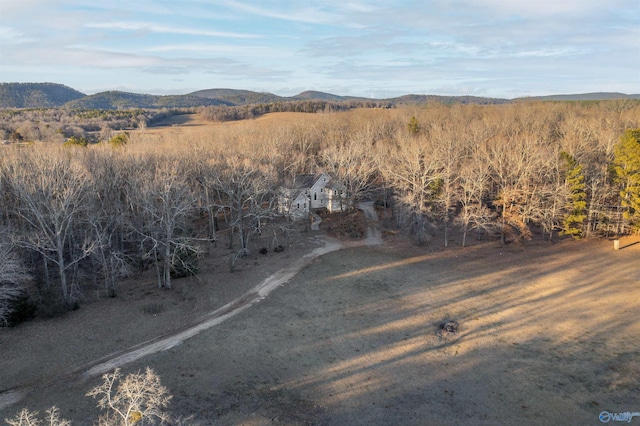 bird's eye view with a mountain view