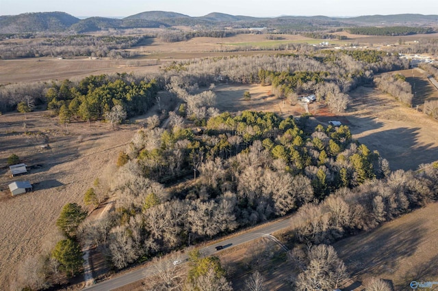 drone / aerial view with a mountain view