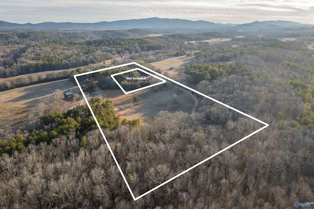 drone / aerial view featuring a mountain view