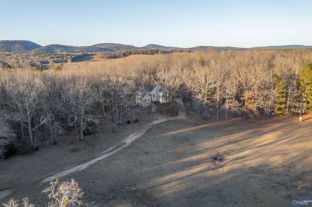 bird's eye view with a mountain view