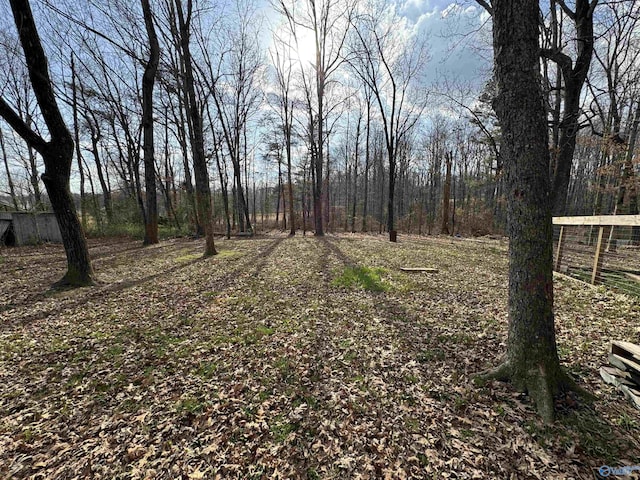 87 Flattop Cir, Scottsboro, AL 35768 - view of yard