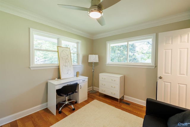 office featuring plenty of natural light, light wood-style flooring, and baseboards