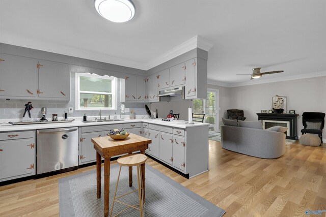 kitchen featuring dishwasher, open floor plan, light countertops, light wood-type flooring, and a sink