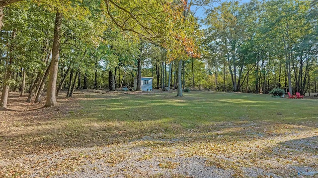 view of yard featuring a shed and an outdoor structure