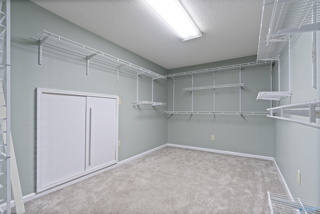 2303 Chatam Ave, Decatur, AL 35603 - spacious closet with carpet