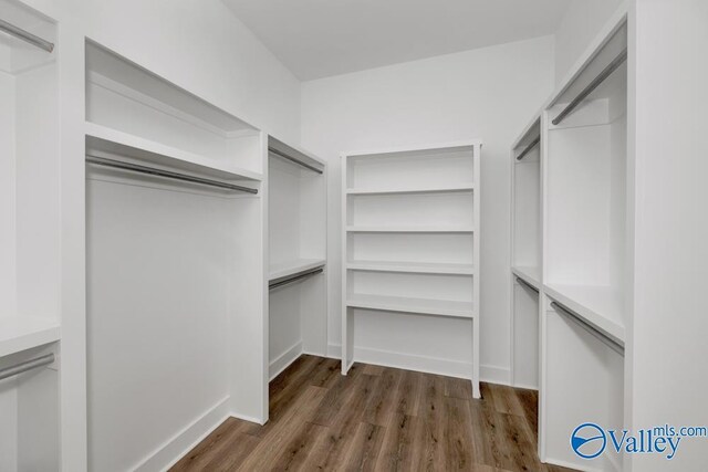 spacious closet with dark wood-type flooring