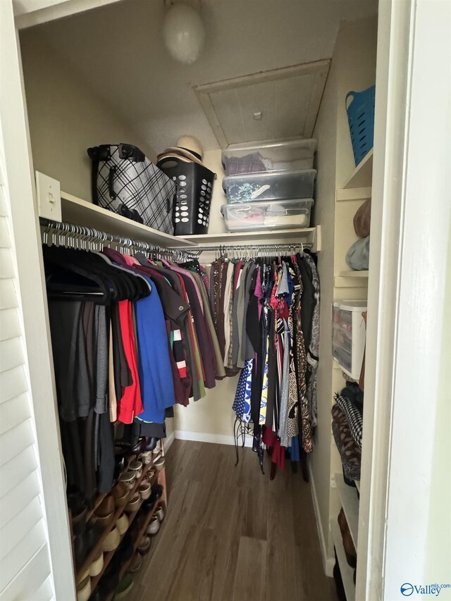 spacious closet with wood finished floors