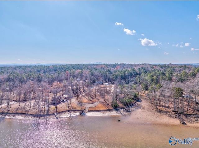 260 County Road 714, Cedar Bluff, AL 35959 - aerial view of property's location with a heavily wooded area