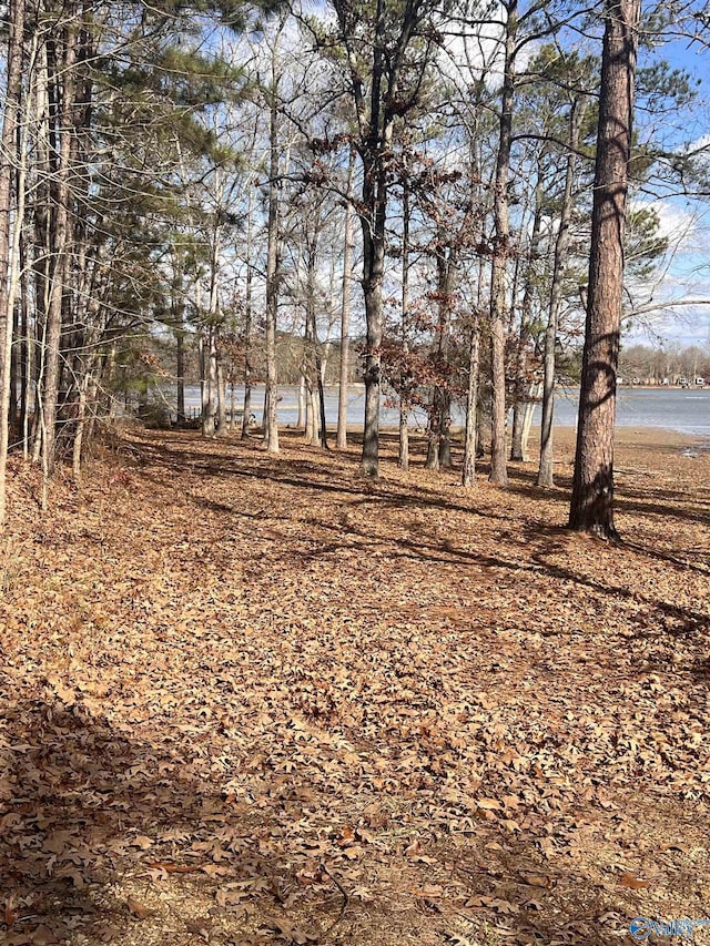 view of yard featuring a water view