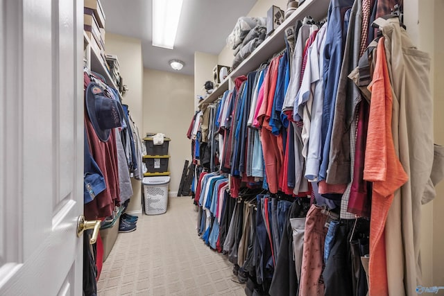 view of spacious closet