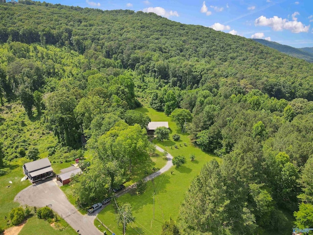 birds eye view of property featuring a mountain view