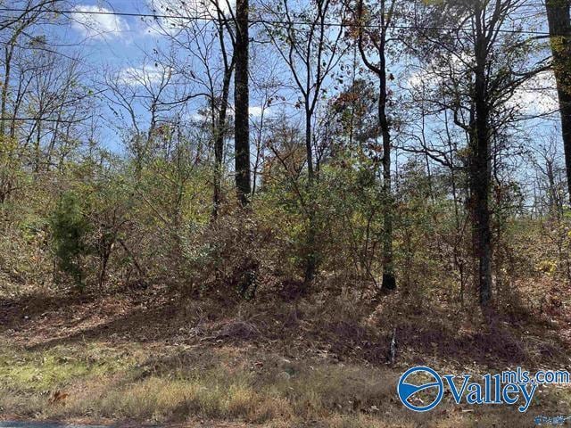 LOT3 County Road 166, Sand Rock AL, 35983 land for sale