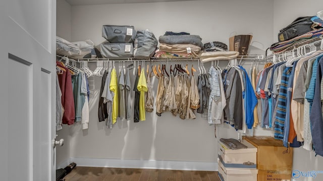walk in closet featuring wood finished floors