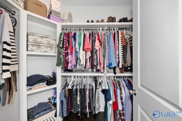 view of spacious closet