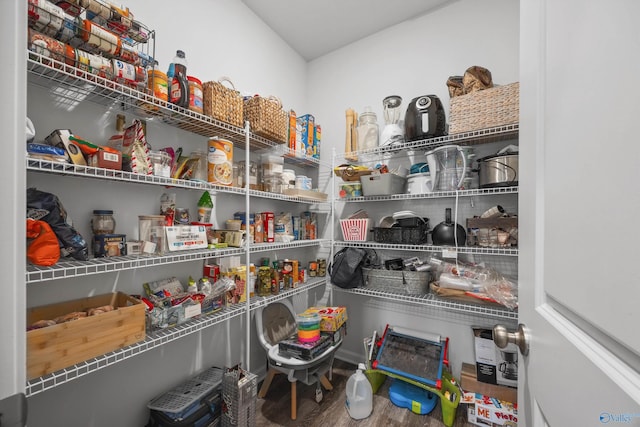 165 Saddle St, New Market, AL 35761 - view of pantry