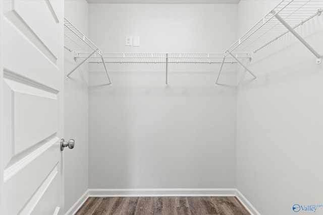 walk in closet with dark wood-style flooring