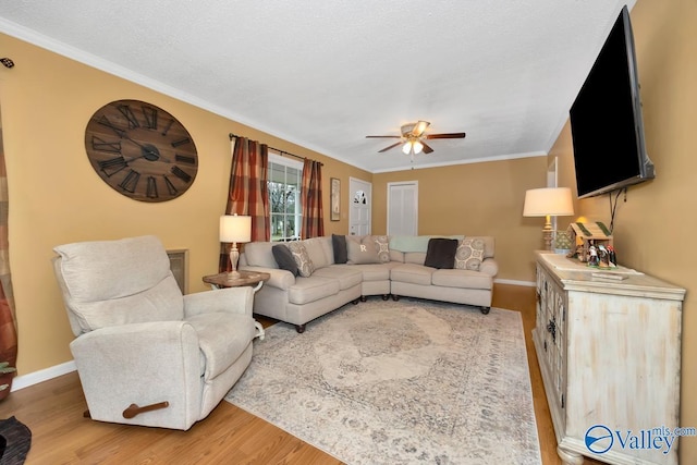 living room with ceiling fan, light hardwood / wood-style floors, a textured ceiling, and ornamental molding