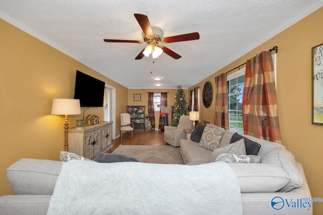 living room with hardwood / wood-style floors, a textured ceiling, ceiling fan, and crown molding