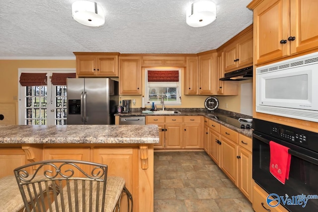 kitchen featuring a healthy amount of sunlight, sink, ornamental molding, and black appliances