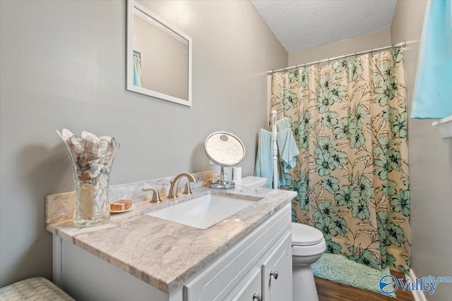 bathroom with vanity, wood-type flooring, toilet, and a textured ceiling