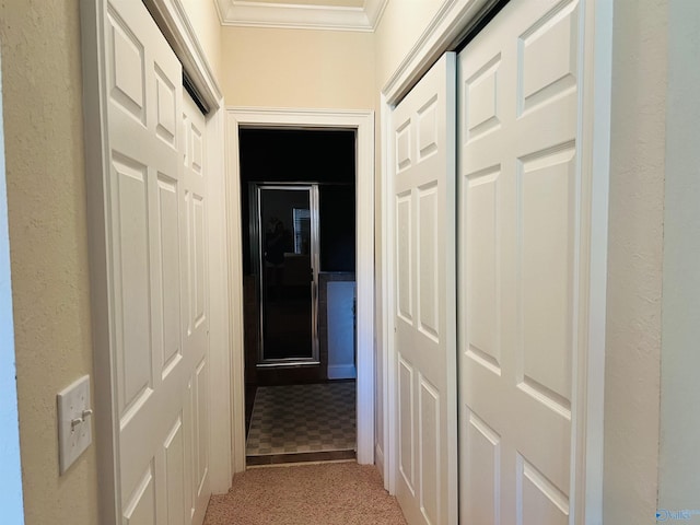 hall featuring crown molding and carpet flooring