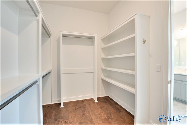 spacious closet featuring dark wood-type flooring