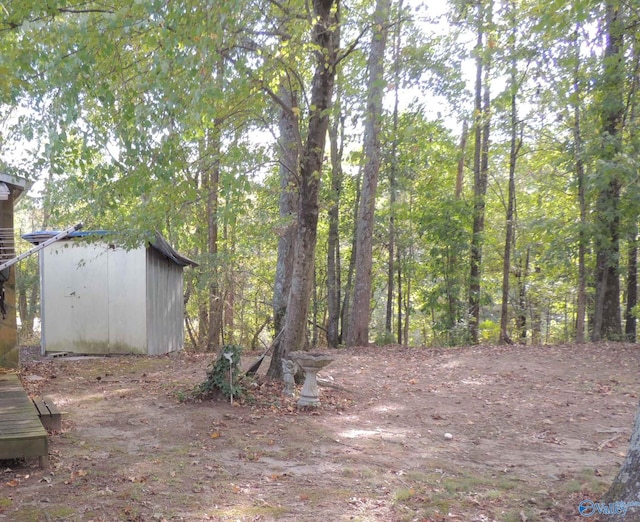 view of yard featuring a shed