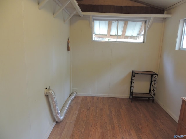 basement with wood-type flooring