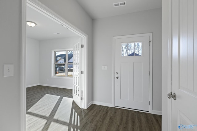 foyer with dark hardwood / wood-style floors and a wealth of natural light