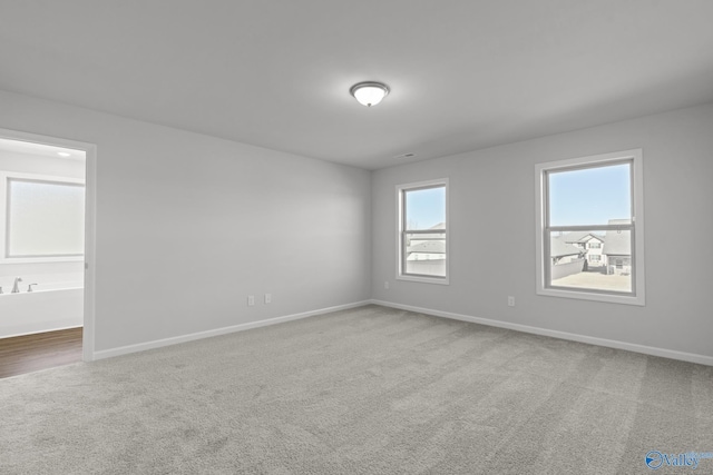 unfurnished room with carpet flooring